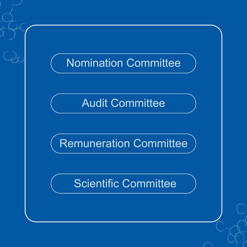 Zealand Committees (2)